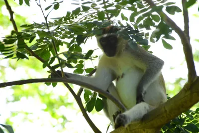 DSC_7905 (Large).JPG